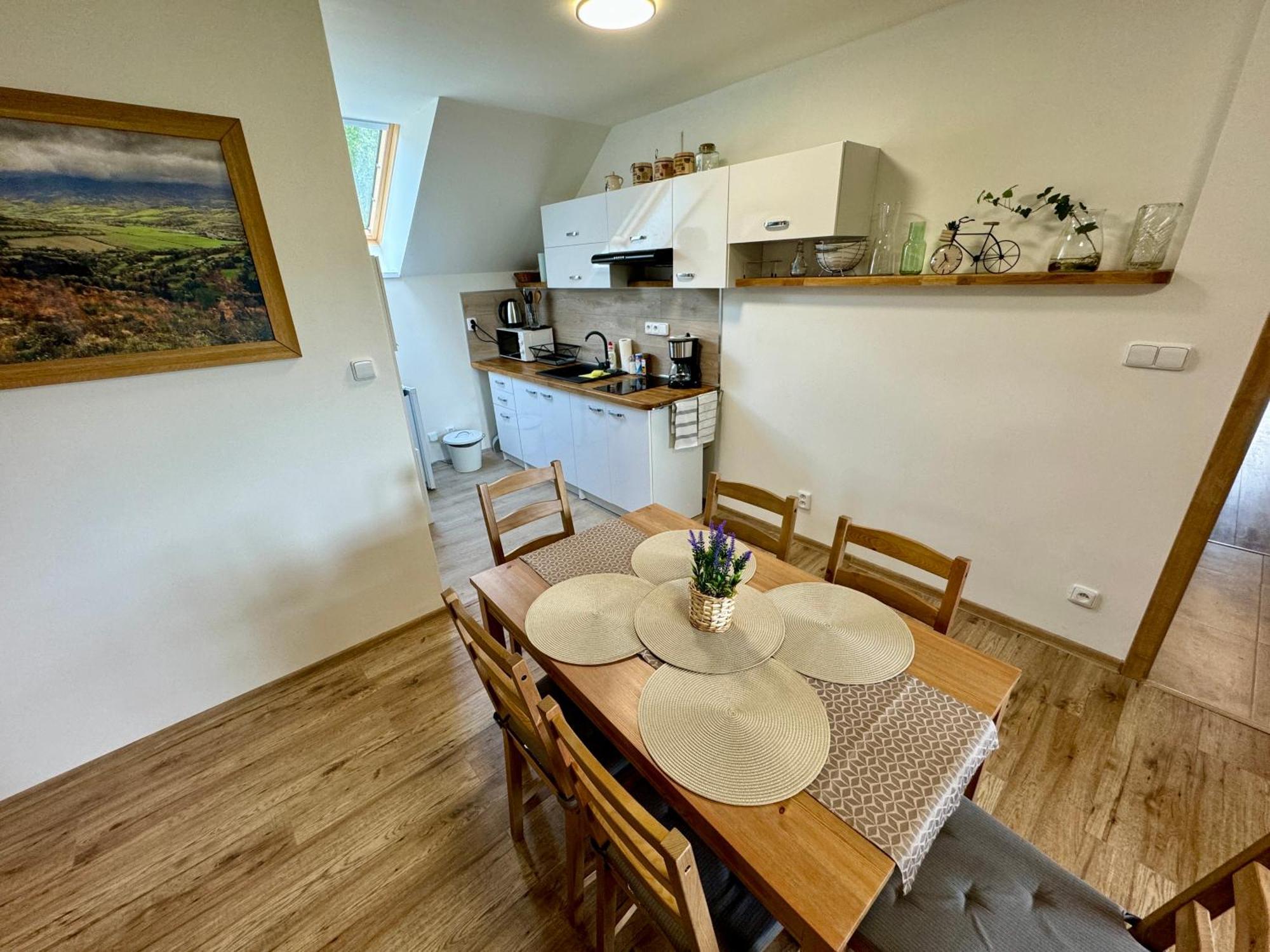 Apartmany Na Kopci 예세니크 외부 사진